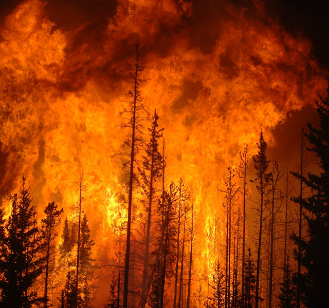 Increasing Wildfire Losses: Threat or Opportunity?